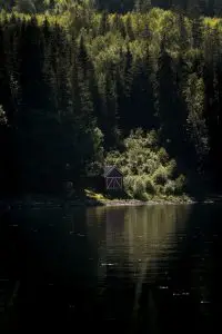 A red boat shed at the edge between a dark and moody green forest and dark waters